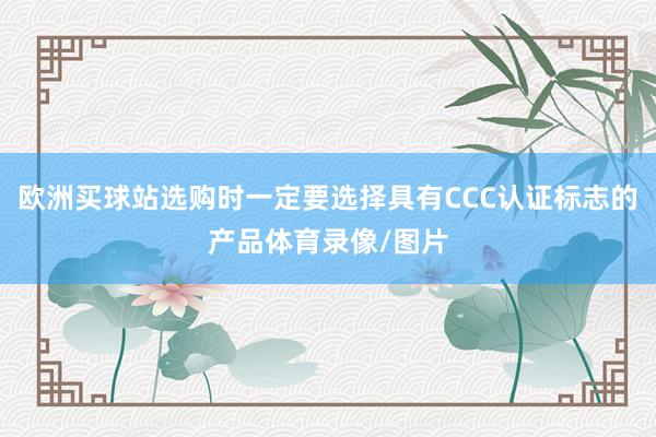 欧洲买球站选购时一定要选择具有CCC认证标志的产品体育录像/图片