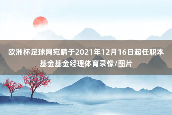 欧洲杯足球网宛晴于2021年12月16日起任职本基金基金经理体育录像/图片