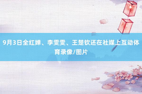 9月3日全红婵、李雯雯、王楚钦还在社媒上互动体育录像/图片