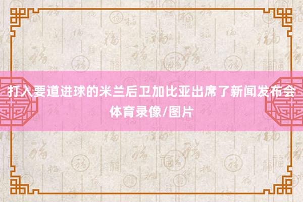 打入要道进球的米兰后卫加比亚出席了新闻发布会体育录像/图片