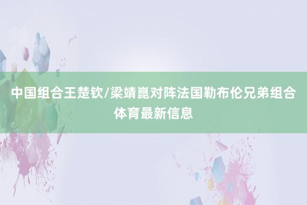 中国组合王楚钦/梁靖崑对阵法国勒布伦兄弟组合体育最新信息