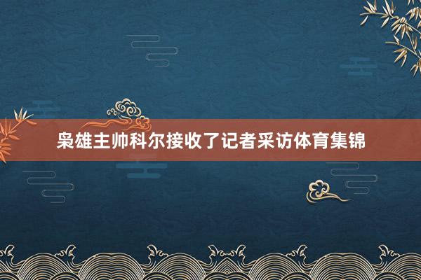 枭雄主帅科尔接收了记者采访体育集锦